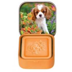 Esprit Provence Tuhé mýdlo v plechovce pomeranč 25 g