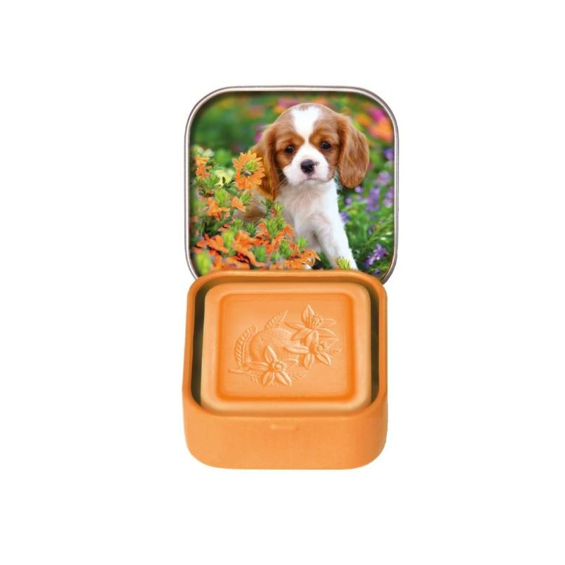 Esprit Provence Tuhé mýdlo v plechovce pomeranč 25 g Esprit Provence Tuhé mýdlo v plechovce pomeranč 25 g